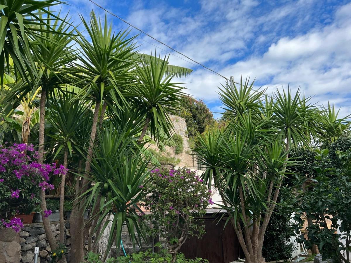 Blue Dream - Amalfi Coast Villa Conca dei Marini Dış mekan fotoğraf