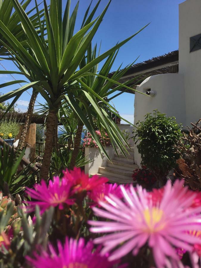 Blue Dream - Amalfi Coast Villa Conca dei Marini Dış mekan fotoğraf